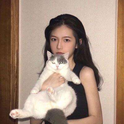 找茬王者游戏
